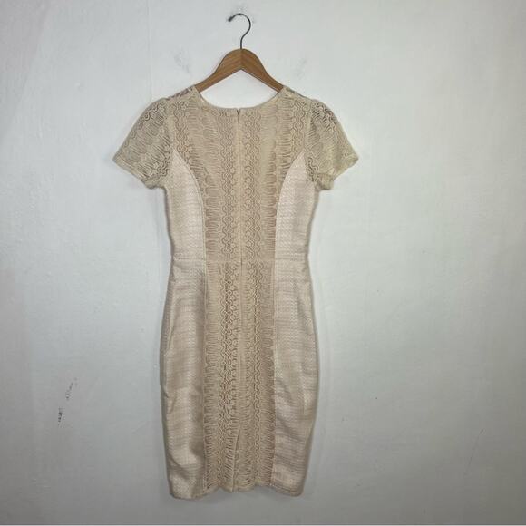 Anthropologie Champagne & Strawberry Fabric Mix Cream Sheath Dress Size M NWT - Picture 2 of 14
